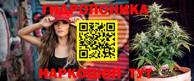 гашик Славянск-на-Кубани