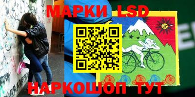 амф Сланцы