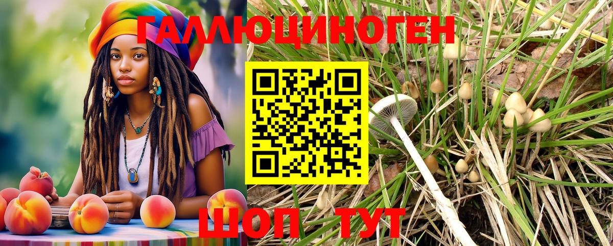 Галлюциногенные грибы мицелий  Вход с VPN  Баксан  Псилоцибиновые грибы Magic Shrooms 